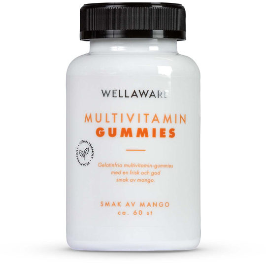 WellAware Multivitamin Gummies 60 st