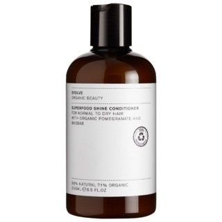 Superfood Shine Conditioner