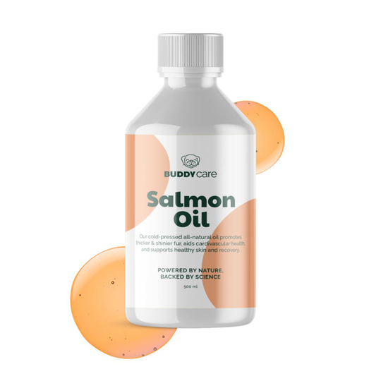 BuddyCare Salmon Oil 500ml