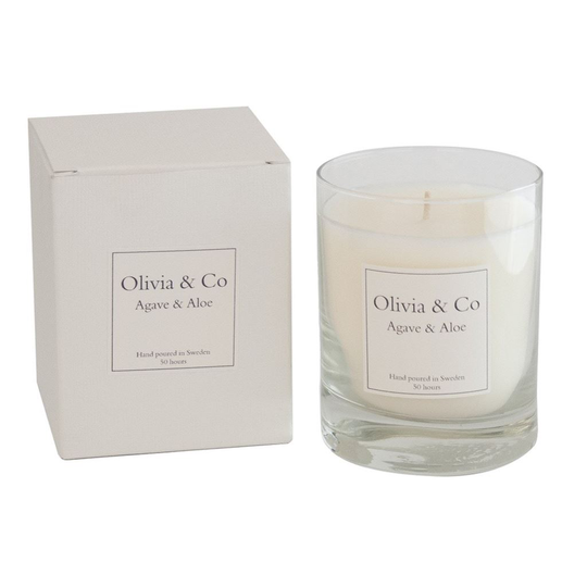 Olivia & Co Doftljus Agave & Aloe Large