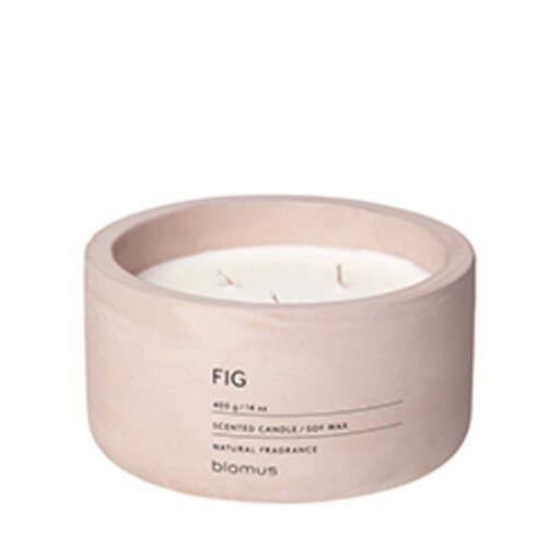 FRAGA Doftljus, Fig