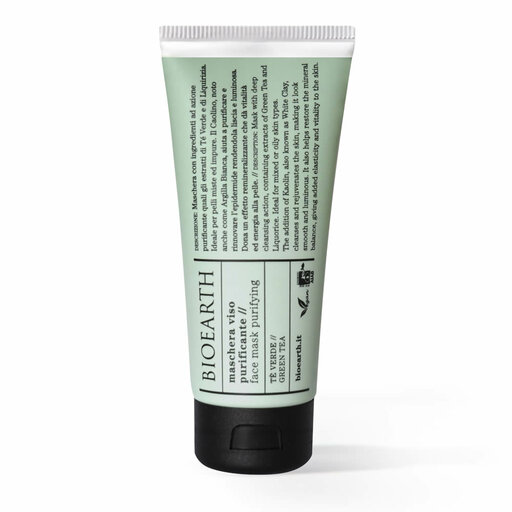 Purifying Face Mask