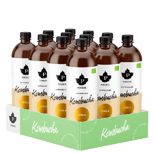 12 x Kombucha EKO, 370 ml