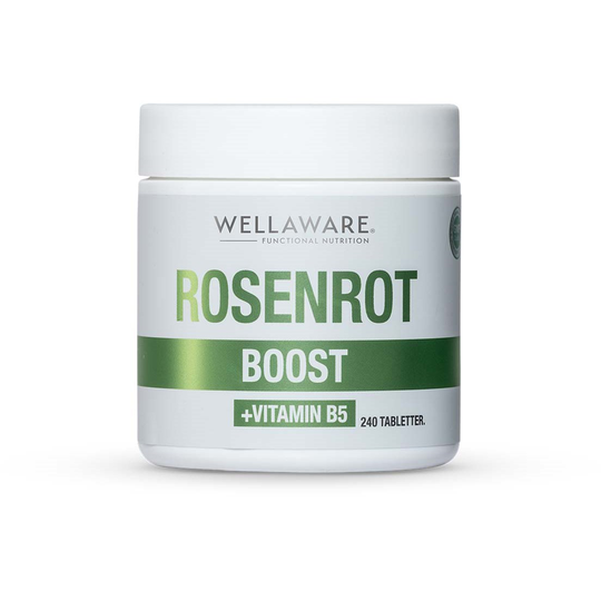 WellAware Rosenrot + B5 minitabletter 240 st
