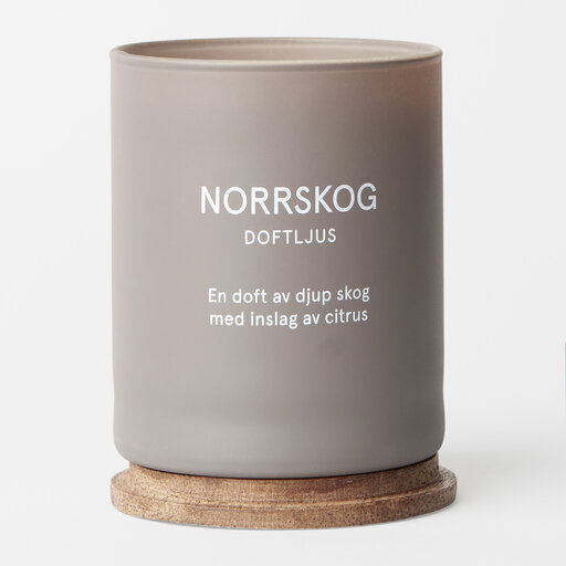 Ljus NORRSKOG, 145 g