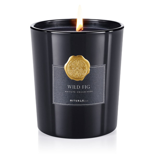Wild Fig Scented Candle
