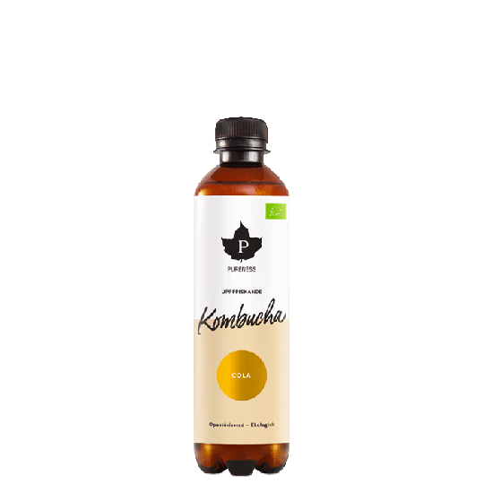 Kombucha EKO, 370 ml