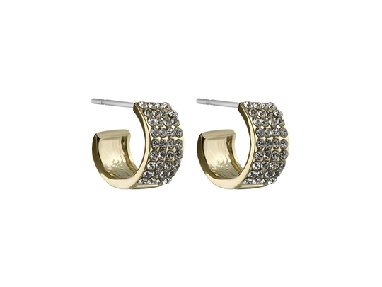 Carrie Small Ring Ear Gold/Clear, Snö of Sweden Örhängen